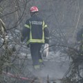 Požar kod Aleksinca: Gori nisko rastinje i trava, vatrogasci na licu mesta
