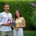 Kako su brat i sestra iz okoline Čačka pretvorili lavandu u premijum brend