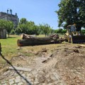 Vojvodina izgubila na hiljade hektara šuma u olujama: Za obnovu će biti potrebne godine
