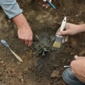 Neverovatno otkriće u Viminacijumu: Arheolozi pronašli predmet "čuvarkuće" u obliku falusa sa krilima