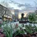 FOTO: Zrenjaninske razglednice – Ulica kralja Aleksandra Prvog Karađorđevića