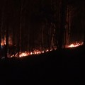 Povećan broj požara na teritoriji Ivanjice (VIDEO)