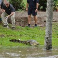 Poplave raznele most; "Lete" rezervoari s vodom; Stanovnici upozoreni: Krokodili su svuda; "Zovite vojsku"