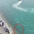 Zalutala ajkula postala neočekivana atrakcija - zaglavila u gradskom kanalu i privukla 600.000 turista za nedelju dana