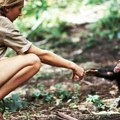 Životinje i nauka: Bliskost ljudi i šimpanzi ovekovečena na legendarnoj fotografiji