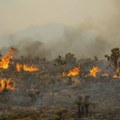 Džošua drveće gori, Mohave pustinju ugrožava ogromni požar