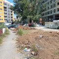 Građani zabrinuti, drveće na Bulevaru Nemanjića u Nišu trajno ukonjeno