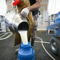 Увођење строжих стандарда за ниво афлатоксина у млеку одложено за годину дана
