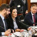 Marinika Tepić: Ljuta sam na Lazovića, pokušava da ponizi one koji su štrajkovali, Savu Manojloviću je Đilas veći…