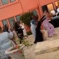 Čim ga je videla, odmah je na njega navalila Primetila je bidermajer, pa krenula u napad! (video)