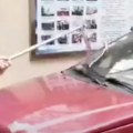 Pazite! Ovaj znak otkriva da se zmija sakrila u vašem automobilu