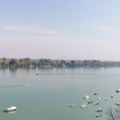 Sava i Dunav – domaćini festivala, regata, prelepih plaža i letnjih snova