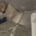 Otkrivena kuća strave: Devojčica (6) ceo život bila zaključana, kosu joj nikad nisu oprali, ovo je slika