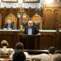 Burno u Skupštini grada: Saveti mesnih zajednica nastavljaju sa radom