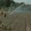Udruženja građana sa juga Srbije traže od Vlade poseban program zaštite od suša