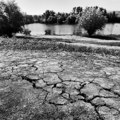 Klimatske promene menjaju poljoprivredu