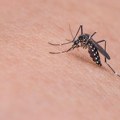 Batut: U Srbiji registrovano 60 slučajeva groznice Zapadnog Nila