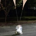Specijalno oružje: Severnokorejski baloni "bombardovali" Južnu Koreju fekalijama