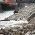 Za katastar zagađivača Prirodno-matematički fakultet u Novom Sadu istražio: Evo koja količina otpada završi u Dunavu