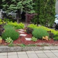 Ovo mesto lepote zvaće se po vladi? Kolege tragično nastradalog u septičkoj jami pokrenule inicijativu - da se parkić na…