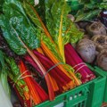 Povrće koje je nutritivna bomba, a ima samo 35 kalorija
