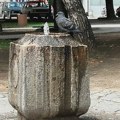 Danas temperatura do 43 stepena – uveče promena vremena