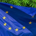 Gde je kanabis legalan u Evropi: EU ide ka zelenom, Srbija i region u crvenom