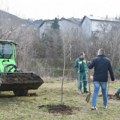 Pošumljavanje u okviru projekta „I zima voli zeleno” posađeno 85 sadnica četinara na Središtanskom putu u Vršcu