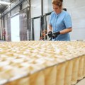 Kineski model za spas Simpa i Yumca: Peking je možda poslednja nada za dve vranjanske kompanije
