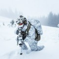 "Arktički štit" se aktivira; NATO šalje vojsku na Grenland