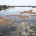 Zbog niskog vodostaja na Savi kod Šapca otežana plovidba