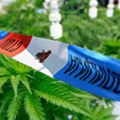 Otkrivena laboratorija za uzgoj marihuane u Kragujevcu, uhapšen osumnjičeni