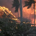 Opet požar na Havajima: Vatra uništava prašumu Oahua sa retkim biljnim i životinjskim vrstama