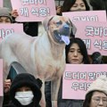 Pseće meso: Zašto je to toliko osetljiva tema u Južnoj Koreji