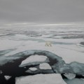 Britanski fotograf amater je tri dana plovio brodom u ledenoj magli, a onda napravio fotografiju pred kojom je danas zanemeo…