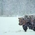 Narodni kalendar Da li je došao kraj zimi? - Evo kad će "Baba Matra" da pokaže ćud