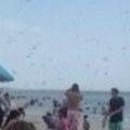 Apokaliptični prizori sa plaže! Krilati insekti napali turiste: Ljudi panično bežali (video)