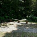 Hitno upozorenje sa Fruške Gore: Molimo vas, ako ga vidite, ne prilazite mu i ne uznemiravajte ga!