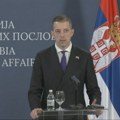 Đurić: Delegacija Evropskog parlamenta će biti primljena, ali nivo prijema je suvereno i diskreciono pravo Srbije