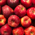 Српски произвођачи јабука: Споразум с Кином значајна пословна прилика