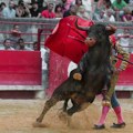 Toreador teško povređen tokom koride u Sevilji