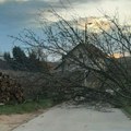 Upaljen alarm! Srbiji prete olujni vetrovi od 70 km/h, mogu čupati drveće! U ovom delu biće najjači udari