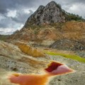 Gljivarsko društvo Valjevo traži hitnu procenu zdravstvenog rizika na području nekadašnjeg rudnika Bobija