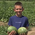 Bogdan ima samo 10 godina, a već je pravi domaćin! Posle obaveza na porodičnom imanju - gradi selo iz mašte: "Da ostane živo i…