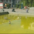 Slika i prilika čačanske vlasti