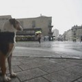Prognoza vremena za utorak, 13. oktobar: Danas promenljivo oblačno, na planinama ponegde sneg