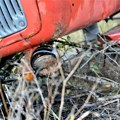 Dačić: Jedna osoba poginula, druga teško povređena u prevrtanju traktora kod Prokuplja