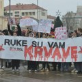 Protest „Zastani Srbijo“ u Zrenjaninu: Naš grad je mali, ali njegova duša je velika