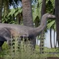 VIDEO: Jedan od najstarijih dinosaurusa pronađen u Argentini
