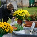Ne nosite bilo koje cveće na groblje: Svaki cvet ima posebnu simboliku, pazite da se ne ogrešite o pokojinke